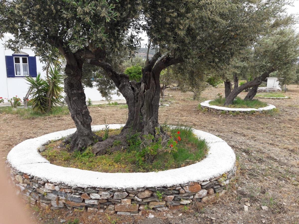 Elisso Villas Platis Gialos  Exterior photo