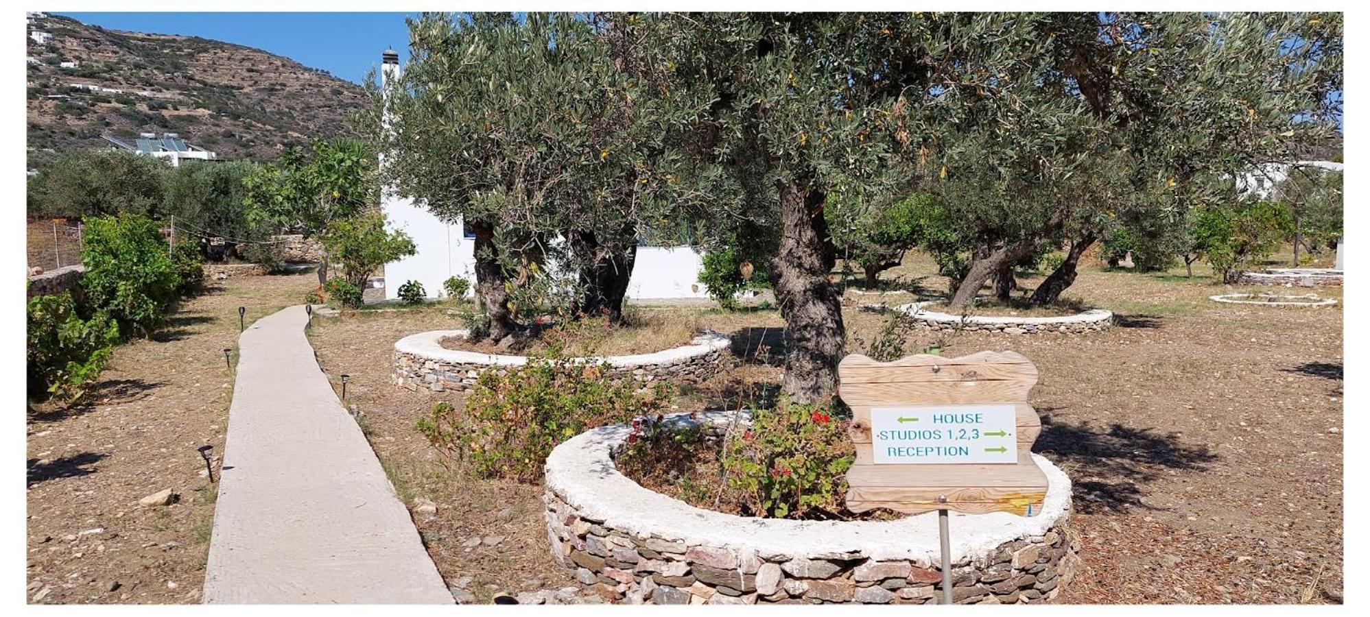 Elisso Villas Platis Gialos  Exterior photo