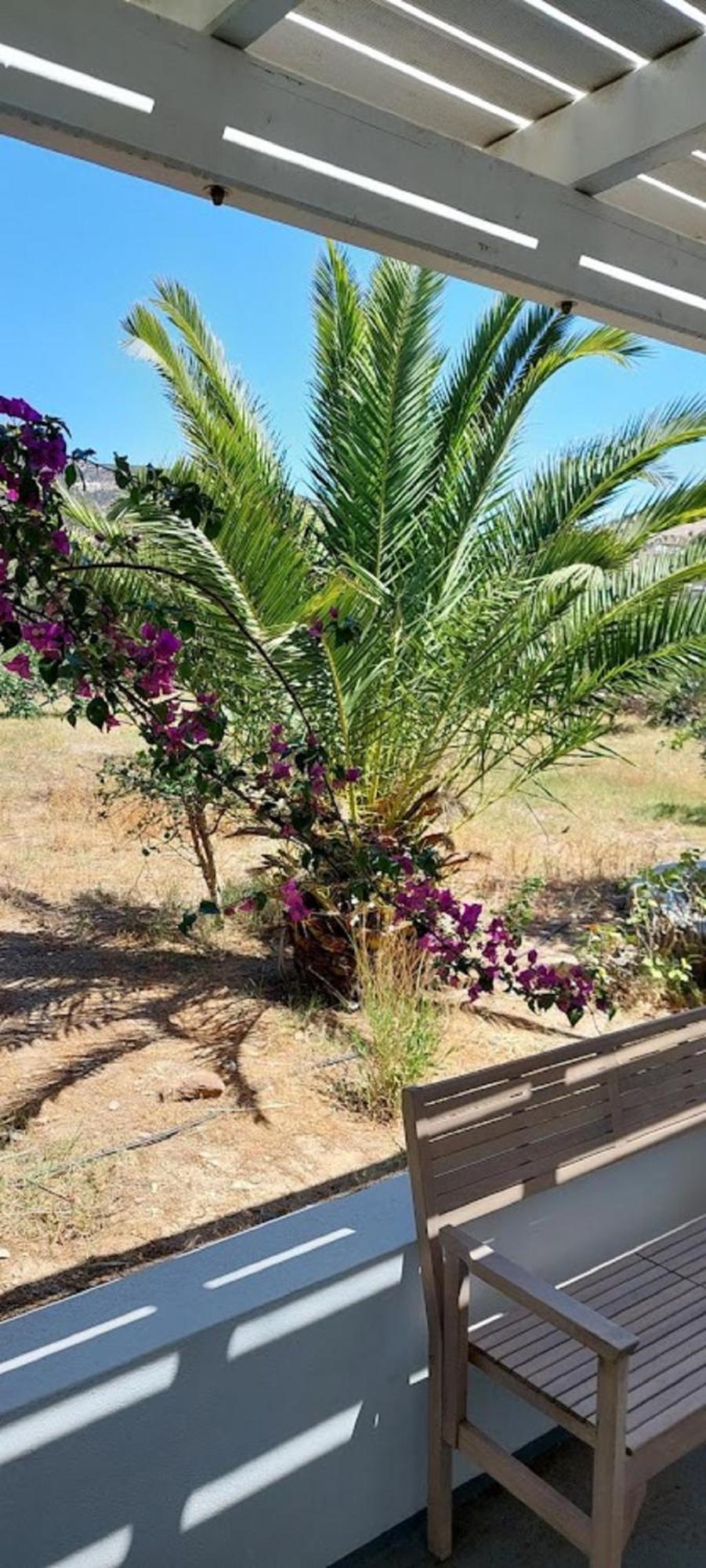 Elisso Villas Platis Gialos  Room photo